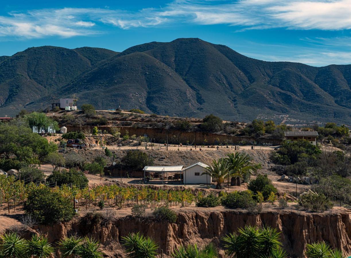 Finca De Lulu Y Jose Ruta Del Vino 瓜达鲁佩镇 外观 照片